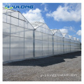 オランダのバケツシステムを備えた農業プラスチック温室